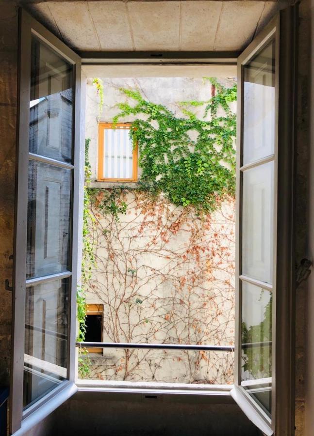 Appartement Climatise Plein Centre Historique 亞維農 外观 照片